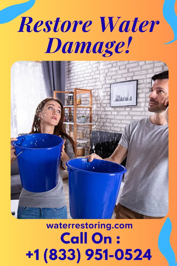 water restoration Expert Sewage Cleanup Solutions Shelocta