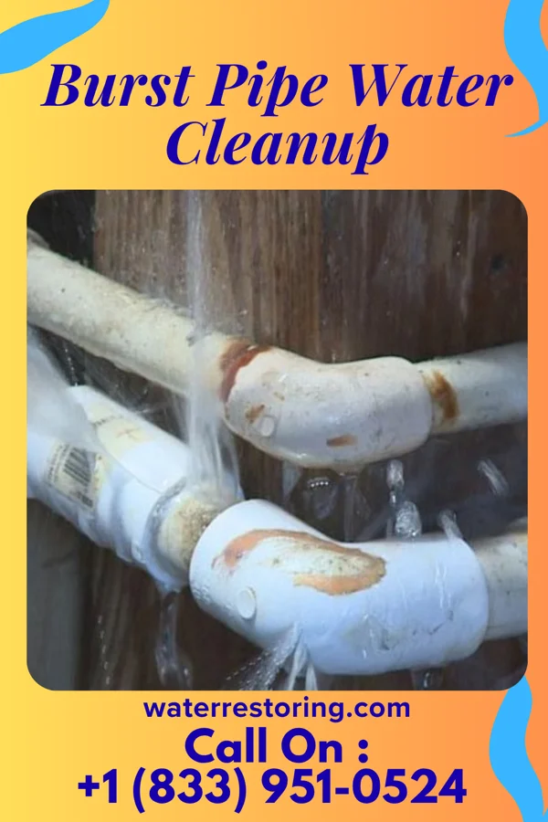 Burst Pipe Water Cleanup in Shelocta, PA
