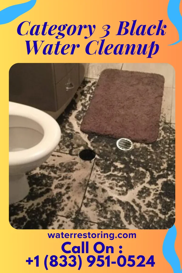 Category 3 Black Water Cleanup in Shelocta, PA