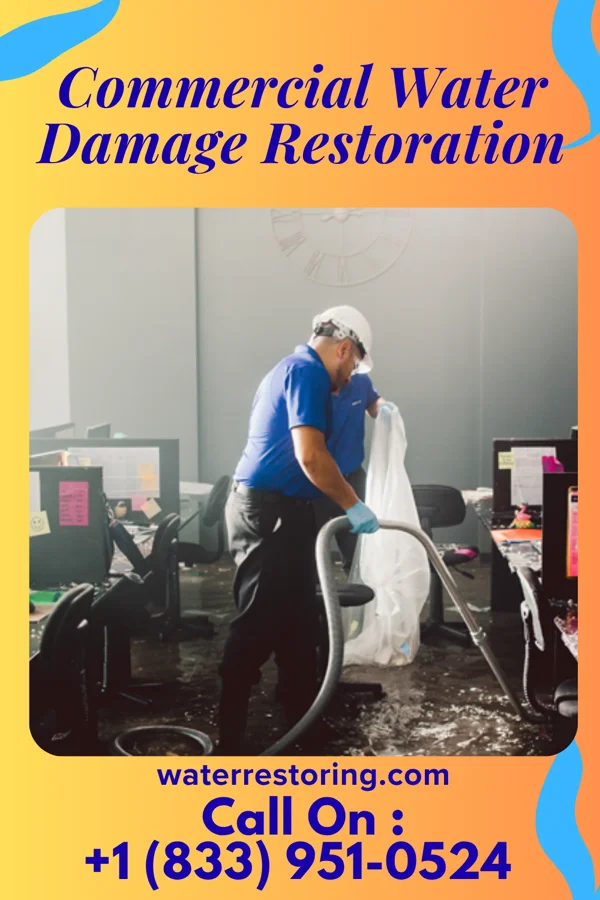Commercial Water Damage Restoration in Shelocta, PA