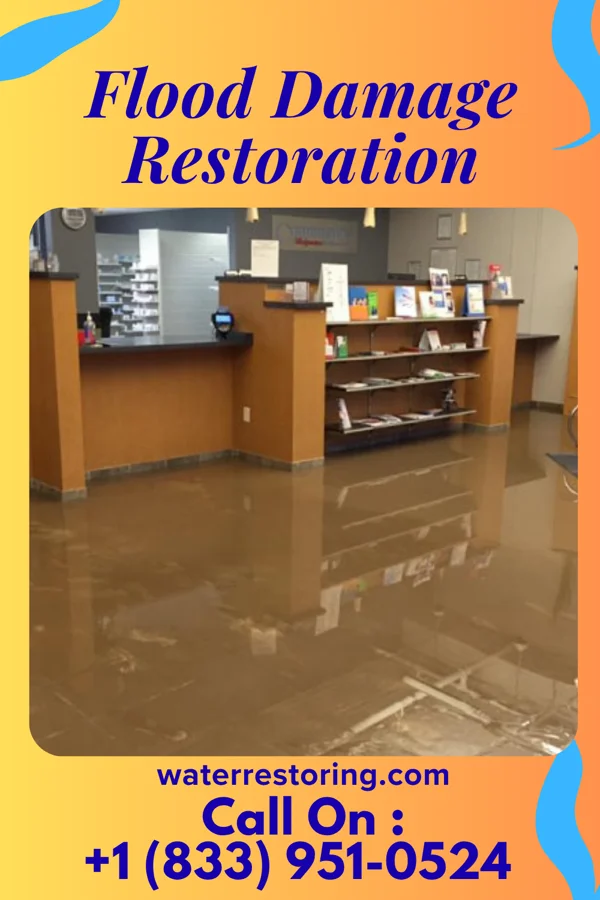 Flood Damage Restoration in Shelocta, PA