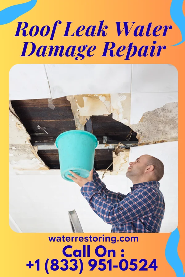 Roof Leak Water Damage Repair in Shelocta, PA