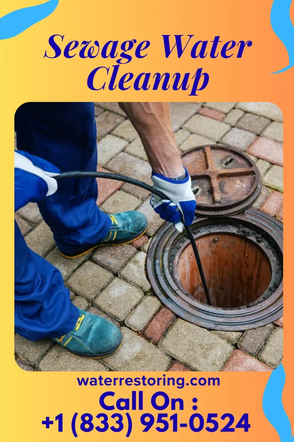 Sewage Water Cleanup in Shelocta, PA