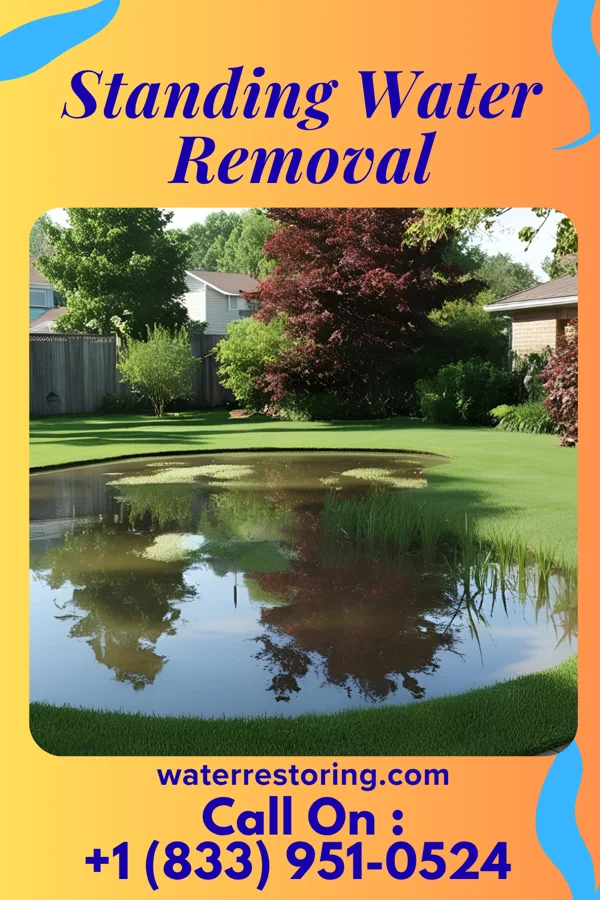 Standing Water Removal in Shelocta, PA